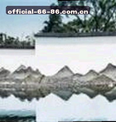孙悦